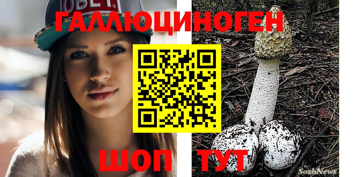 Псилоцибиновые грибы MAGIC MUSHROOMS  Вход с VPN  Орск 